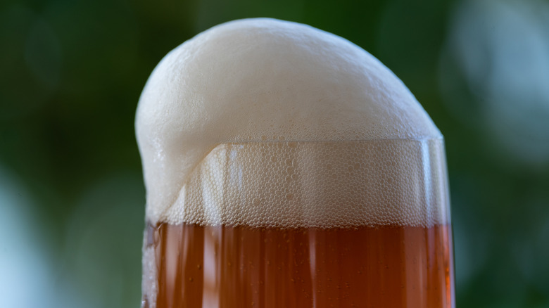 Foamy head of beer in glass